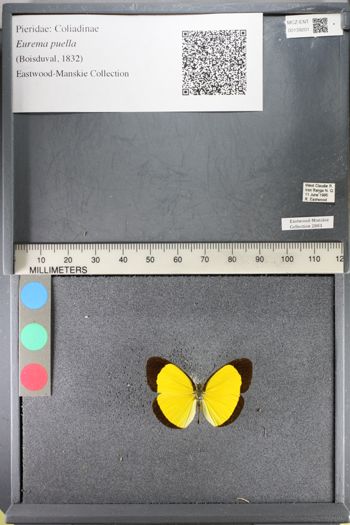 Media type: image;   Entomology 139201